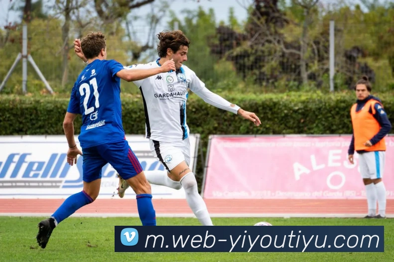 易游体育平台生态图