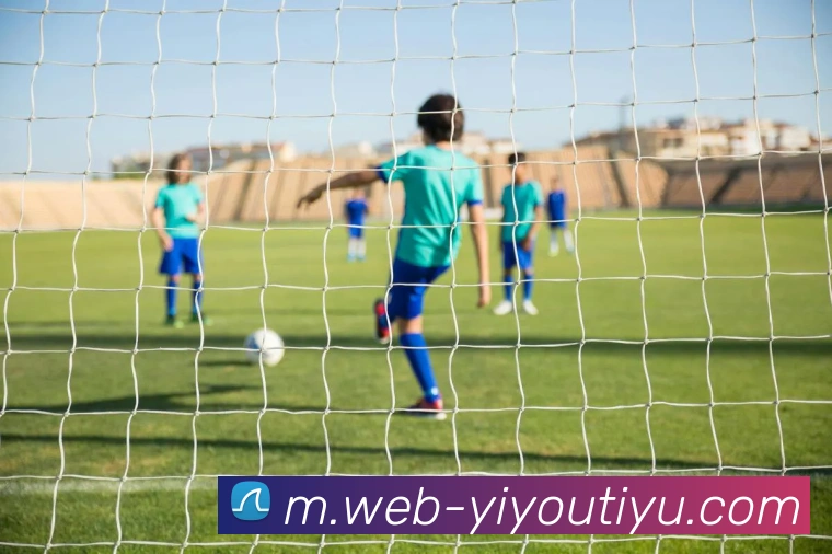 易游体育APP 封面图